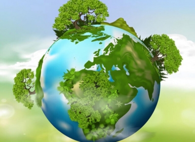 DỰ ÁN ĐÃ HOÀN THÀNH