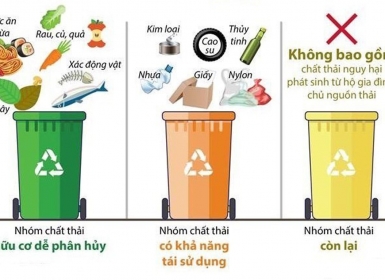 Rác thải sinh hoạt là gì? Cách phân loại và xử lý rác thải sinh hoạt?